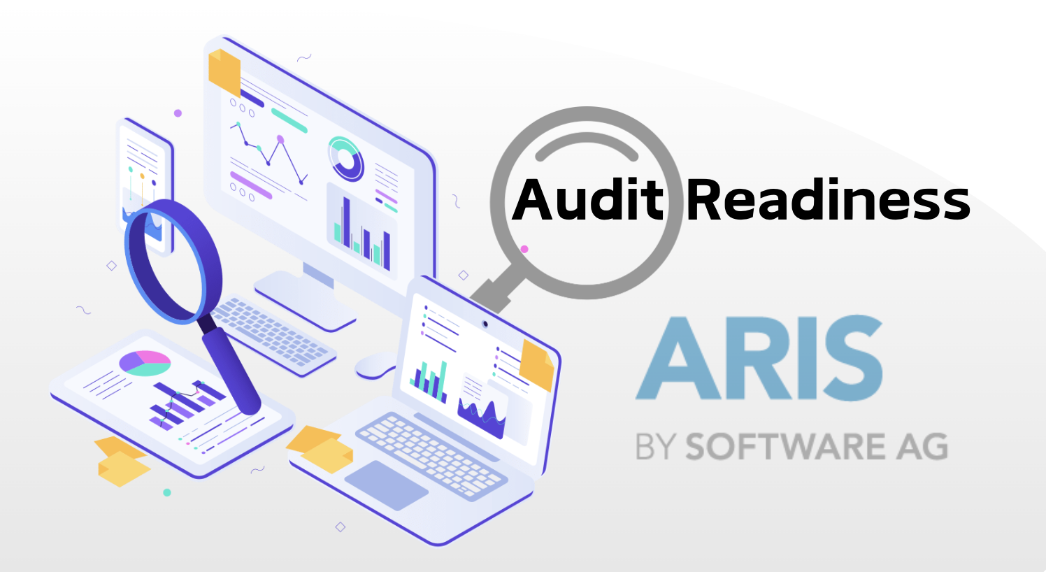 US Navy Audit Readiness & the ARIS BEAR